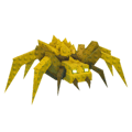 Sand Spider