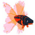 Volcanic Betta