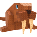 Walrus