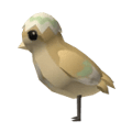 Chick