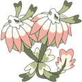 Clover Blossom