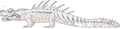 Sarcosiris