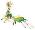 Citrulantis