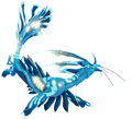 Eiroca