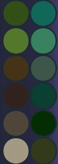 Fir Tree Forest Palette
