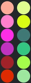 Fruit Salad Palette