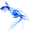 Galeostra