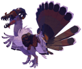 Gorgonichus