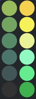 Lucky Palette