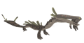 Murlk
