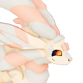 Mallopii
