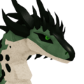 Palus