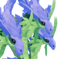 Fleurianthus