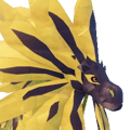 Sunfloris