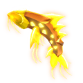 Gold Koi