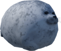 Rotund Seal