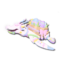 Basketback Tortoise