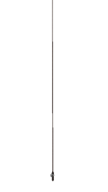 The Longest One