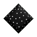 Midnight Snow Gemstone
