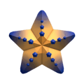 Oceanic Starfish Gemstone