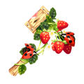 Strawberry Garden Hammer