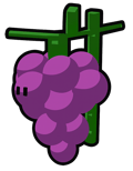 Grapes
