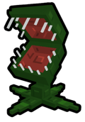 Venus Flytrap