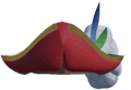 Roger's Hat