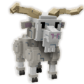 Angora Goat
