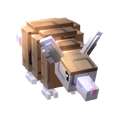 Armadillo