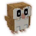 Barn Owl