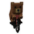 Bear on Bike