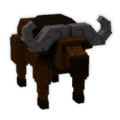 Cape Buffalo