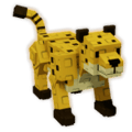 Cheetah