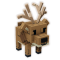 Elk