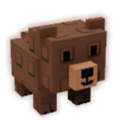 Grizzly Bear