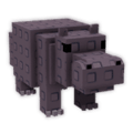 Hippo