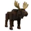 Moose