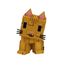 Orange Tabby