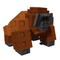 Orangutan