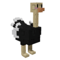 Ostrich