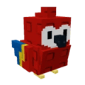Scarlet Macaw