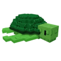 Sea Turtle