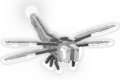 Silver Dragonfly