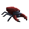 Stag Beetle