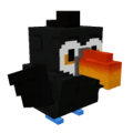 Toucan