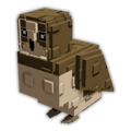 Brown Owl