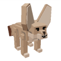 Fennec Fox