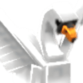 GIANT Swan