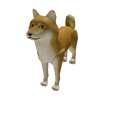Dogey